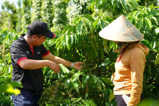 Nâng cấp chuỗi giá trị: Động lực tăng trưởng, kiến tạo lợi thế cạnh tranh cho Việt Nam