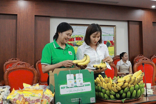 Hà Nội đặt mục tiêu đưa doanh thu hợp tác xã đạt 3,8 tỷ đồng/năm vào năm 2027