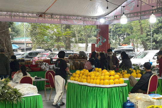 Hà Nội quyết tâm đạt mục tiêu tăng trưởng GRDP từ 11% trở lên