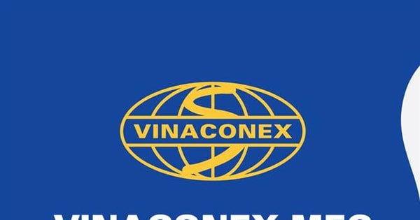 Công ty XKLĐ Vinaconex Mec: Bài 1- Người lao động kêu trời muốn về nước