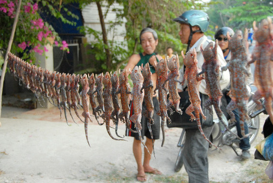 Những khu chợ "kỳ dị" ở Việt Nam
