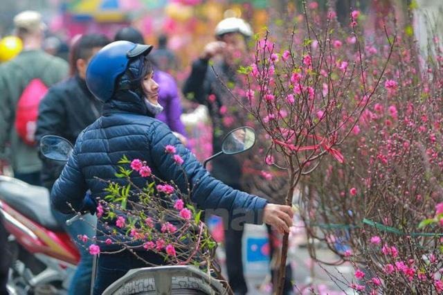 Tết Nguyên đán 2018: Đề xuất 2 phương án nghỉ trong 7 ngày