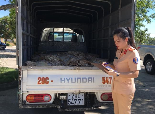 CSGT Thanh Hóa bắt giữ vụ vận chuyển 01 tấn bì lợn đang phân hủy