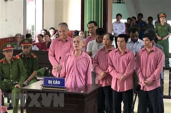 Tuyên phạt 81 năm tù với 9 bị cáo trong vụ phá hơn 64ha rừng ở Bình Định