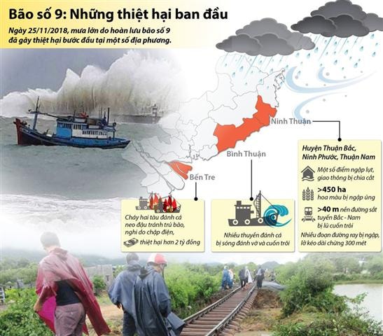 Những thiệt hại ban đầu do bão số 9