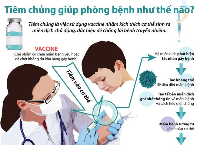 Tiêm chủng vắcxin để chủ động chống lại các bệnh truyền nhiễm
