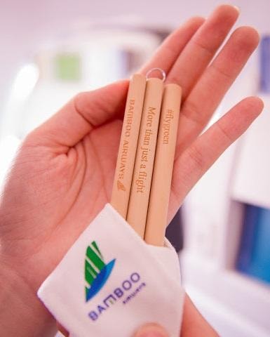 Chuyến bay đặc biệt của Bamboo Airways khởi đầu hành trình “bay Xanh”
