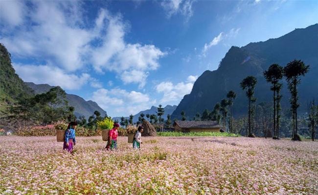 Triển lãm ảnh từ thiện ”Ánh sáng từ tâm”