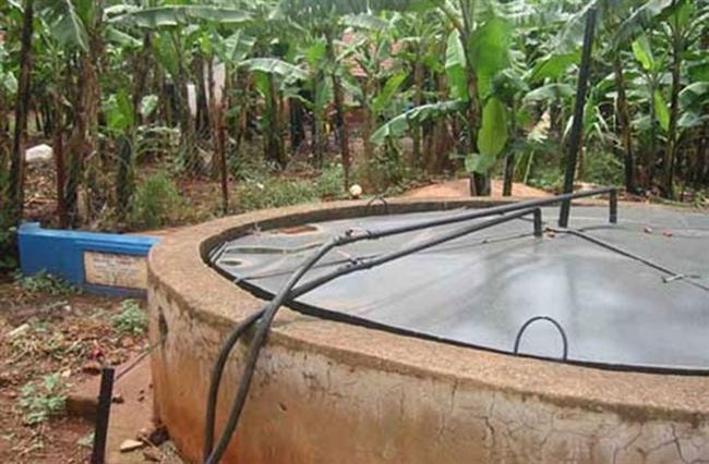 Lào Cai: Hai người tử vong vì ngạt khí từ hầm biogas