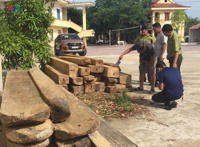 Kiểm lâm Quảng Bình bị “lâm tặc” dùng gạch tấn công thương tích