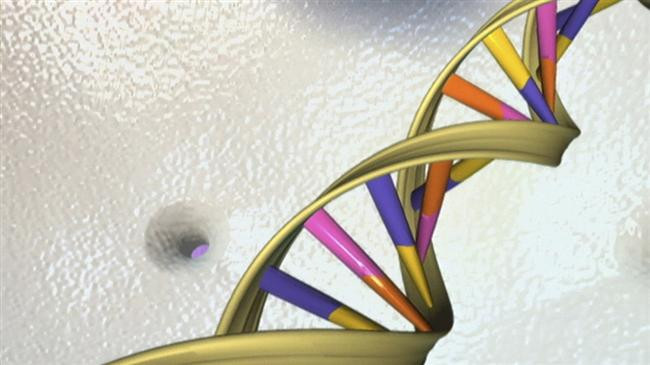 ADN mang dấu ấn virus cổ xưa có khả năng tiêu diệt ung thư