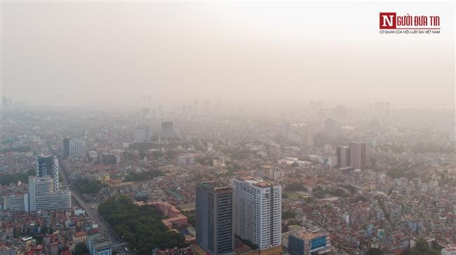 Sắm “bùa hộ mệnh” để thanh lọc không khí, coi chừng ăn "quả đắng"