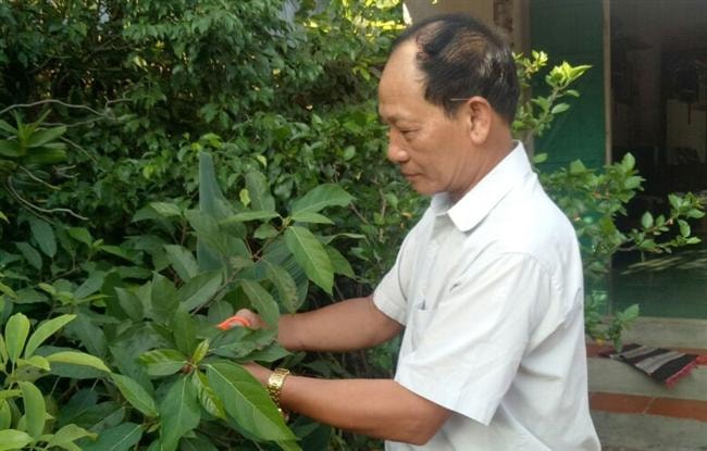 Người "vác tù và" ở Đường Lâm