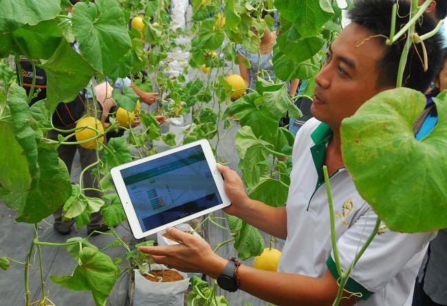 Giải pháp phát triển bền vững doanh nghiệp nông nghiệp