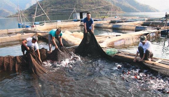 Mô hình đào tạo nghề giúp thanh niên nông thôn lập nghiệp tại Lai Châu