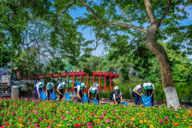 Những hạt bụi vàng lấp lánh