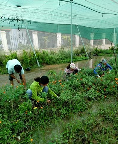 Xã Đông Hội, huyện Đông Anh: Hội Phụ nữ tích cực sáng tạo