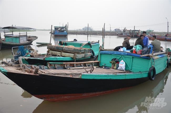 Về vùng nói bậy tốp đầu miền Bắc: (Bài II) Chuyện ghi ở huyện Giao Thủy