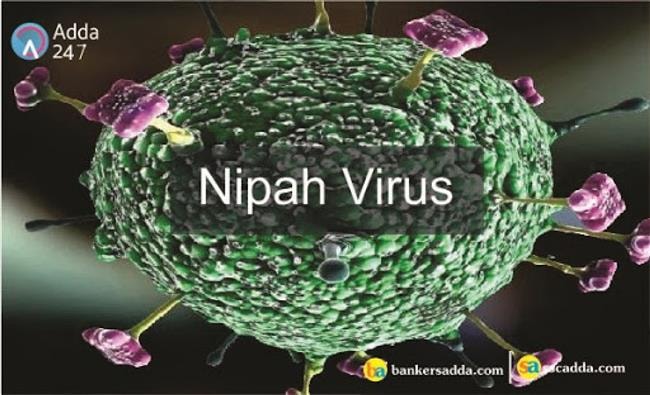 WHO: Virus Nipah có thể gây ra đại dịch tiếp theo