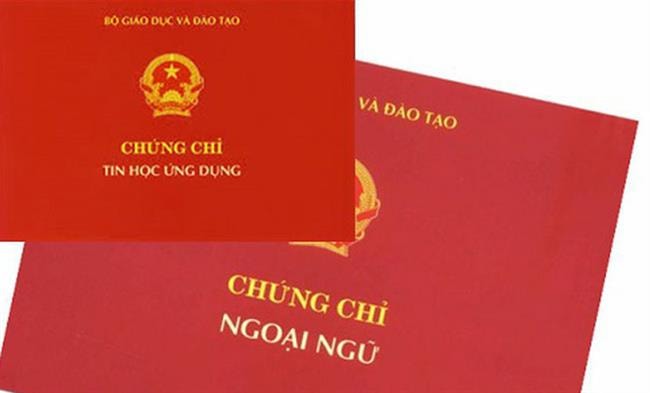 Không yêu cầu về chứng chỉ ngoại ngữ, tin học trong quy định tiêu chuẩn ngạch, chức danh