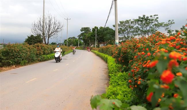 Những ''mô hình xanh'' ở làng quê Hà Nội