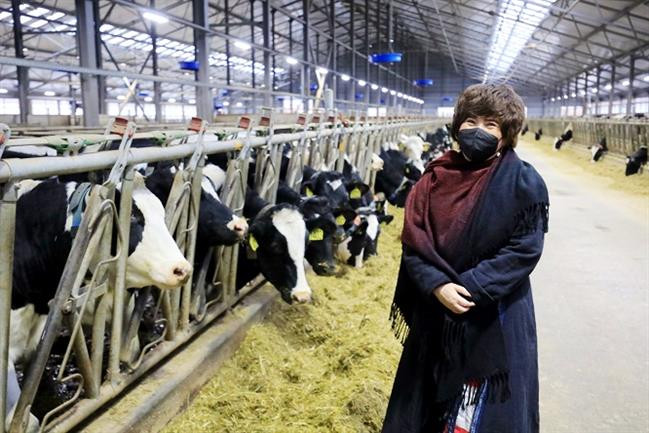 Nhà sáng lập Tập đoàn TH: Tự hào có đàn bò sữa cho sản lượng bình quân cao nhất nước Nga