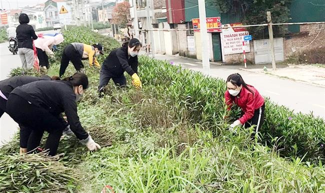 Diện mạo mới cho những tuyến đê