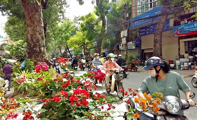Phiên chợ Bưởi - một nét văn hóa của Hà Nội