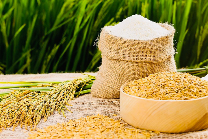 Xuất khẩu gạo Việt Nam khẳng định vị thế