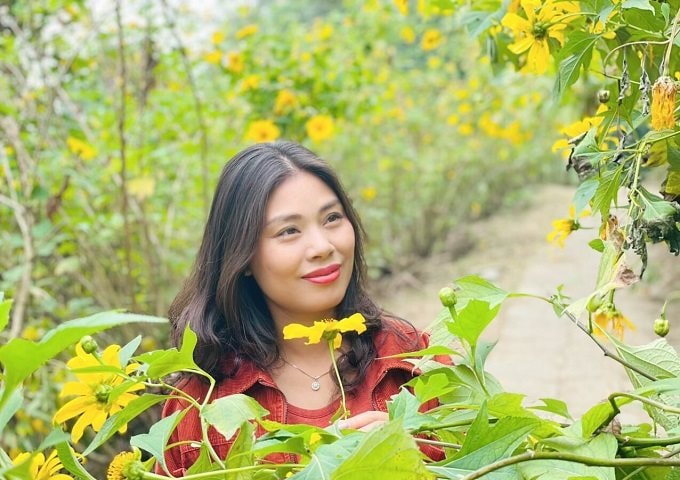 Mùa hoa dã quỳ ở Ba Vì