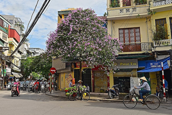 Bên lề Hà Nội