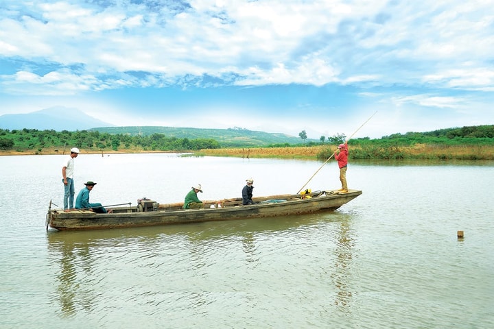 Đò chanh
