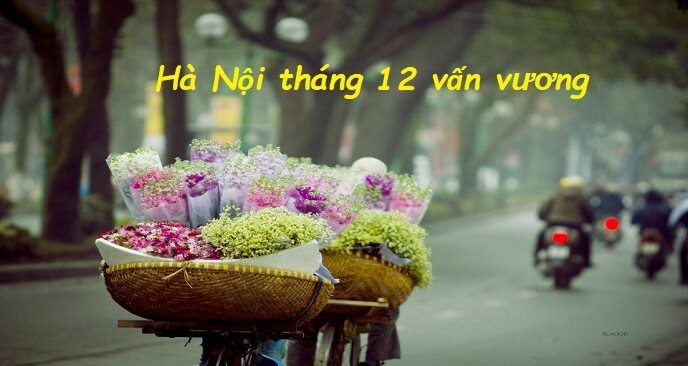 Hà Nội trong trái tim tôi