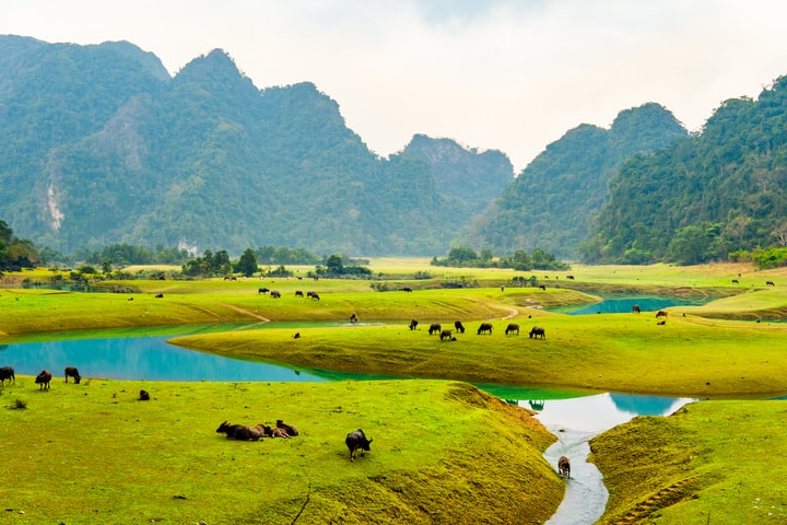 Khám phá thảo nguyên Đồng Lâm - "Mông Cổ thu nhỏ" tại Lạng Sơn