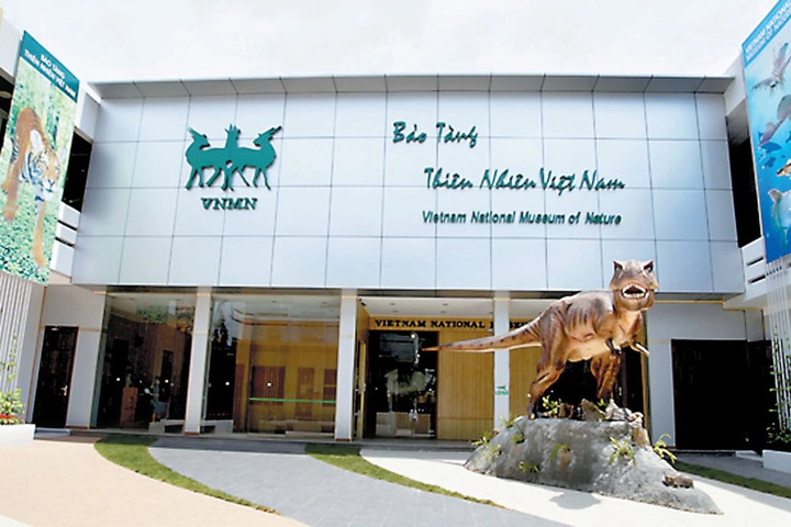 Bảo tàng thiên nhiên Việt Nam: Điểm tham quan miễn phí dịp cuối tuần