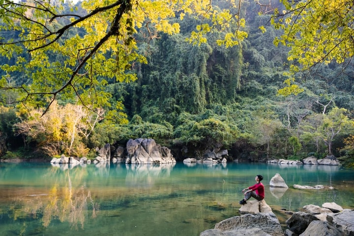 Vẻ đẹp rừng Phong Nha mùa thay lá