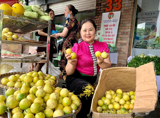 Hội Nông dân Hà Nội tổ chức phiên giao dịch giới thiệu nông sản an toàn tới người tiêu dùng Thủ đô