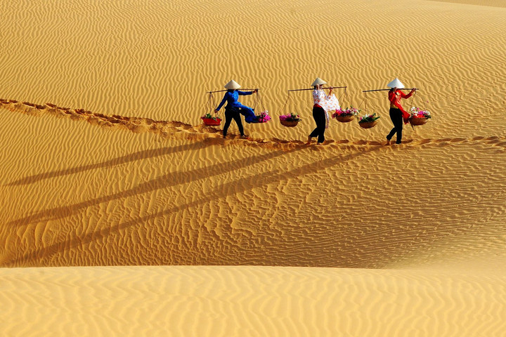 Đồi cát bay Mũi Né được mệnh danh là tiểu sa mạc Sahara tại Việt Nam