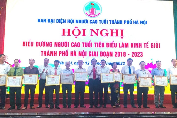 Tuyên dương những người cao tuổi làm kinh tế giỏi giai đoạn 2018-2023