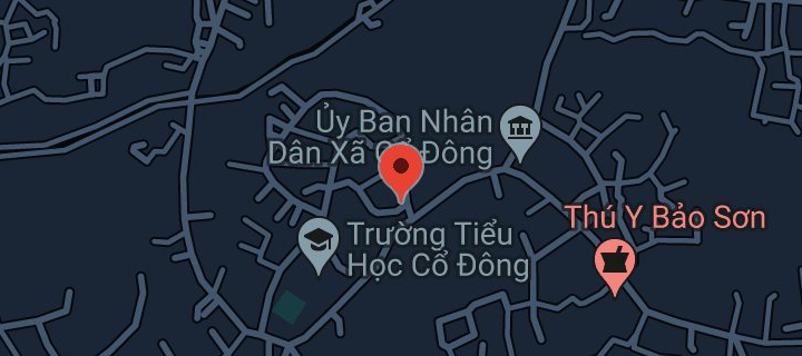 Đình Trong, đình Ngoài (Thị xã Sơn Tây)