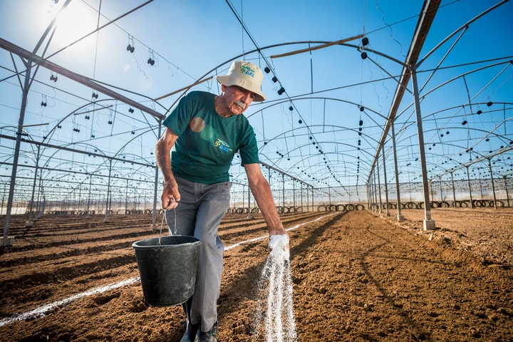 Chuẩn bị diễn ra Diễn đàn doanh nghiệp Việt Nam - Israel tại Hà Nội