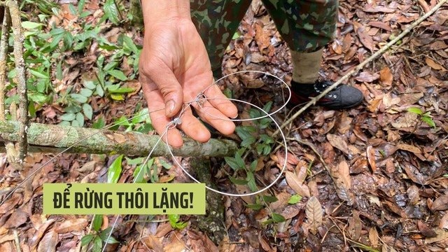 Bộ phim ngắn "Để rừng thôi lặng" kêu gọi giảm tiêu thụ thịt thú rừng