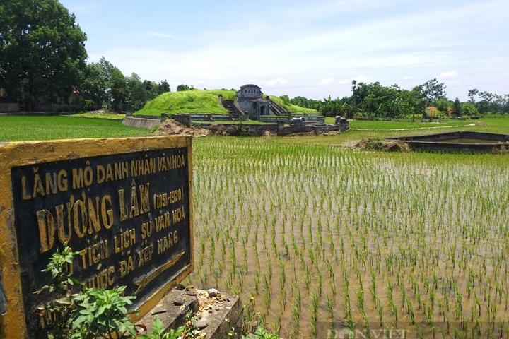 Dương Lâm – quan chức, nhà thơ