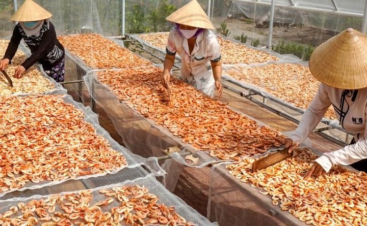 Nghề làm tôm khô là Di sản văn hoá phi vật thể