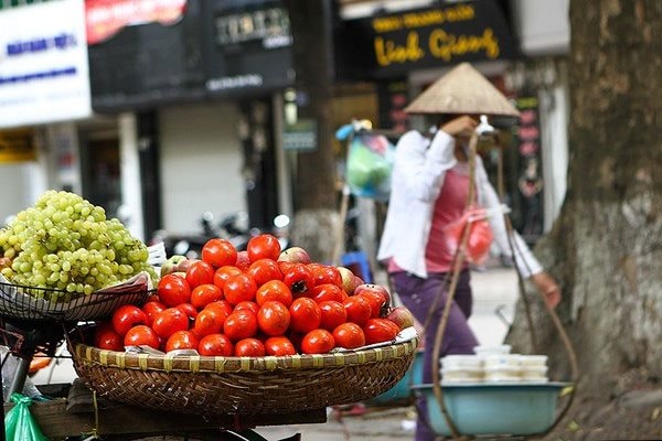 Chỉ còn những mùa nhớ