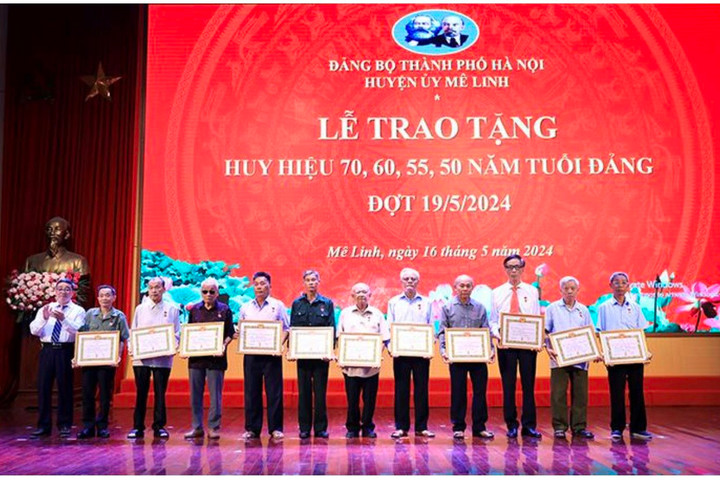 Chủ tịch HĐND Thành phố Nguyễn Ngọc Tuấn trao Huy hiệu Đảng tại huyện Mê Linh