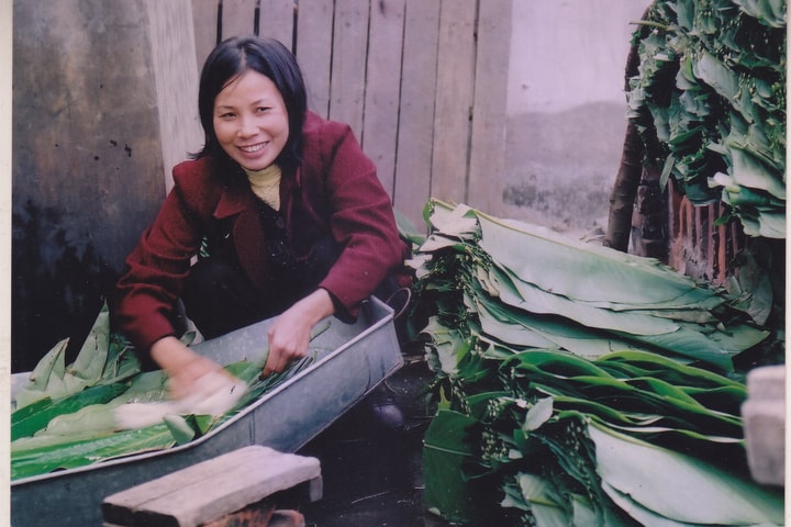 Bánh chưng xanh Hà thành