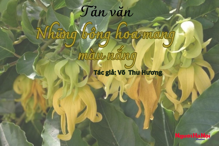 [Podcast] Những bông hoa mang màu nắng