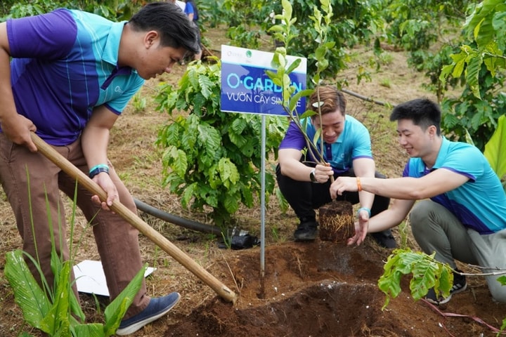 OPES tặng 1800 cây sinh kế, hỗ trợ đồng bào vùng cao chuyển đổi nông nghiệp sinh thái bền vững