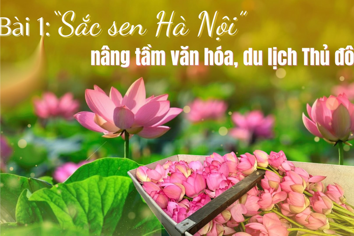 "Sắc sen Hà Nội" nâng tầm văn hóa, du lịch Thủ đô